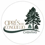 Cipres Del Conguillio